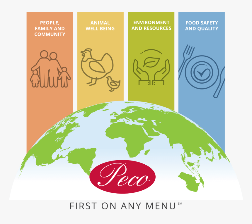 Sustainability Banner Graphic Curved World Map Hd Png Download