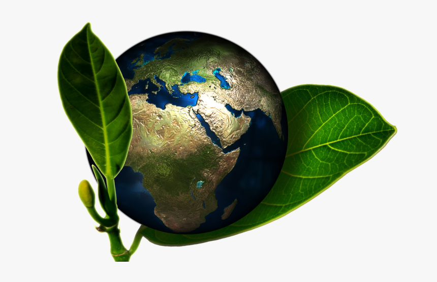 Ya Sabemos Cómo Será El Clima Del Planeta En - Green Leaves With Earth, HD Png Download