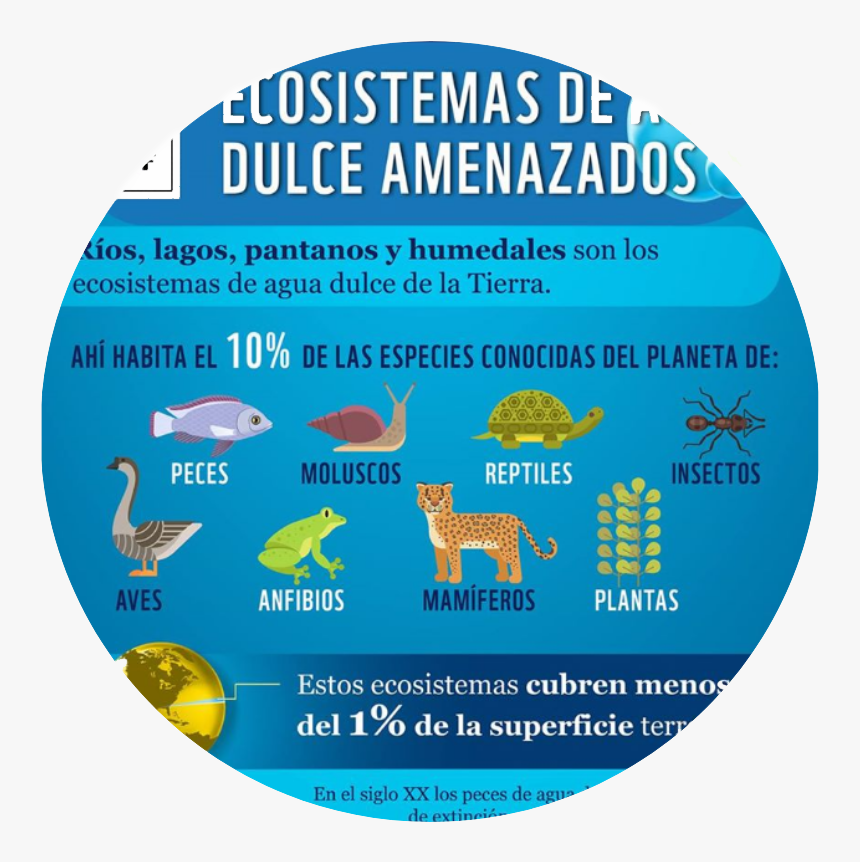 Tsunami Hazard Zone, HD Png Download