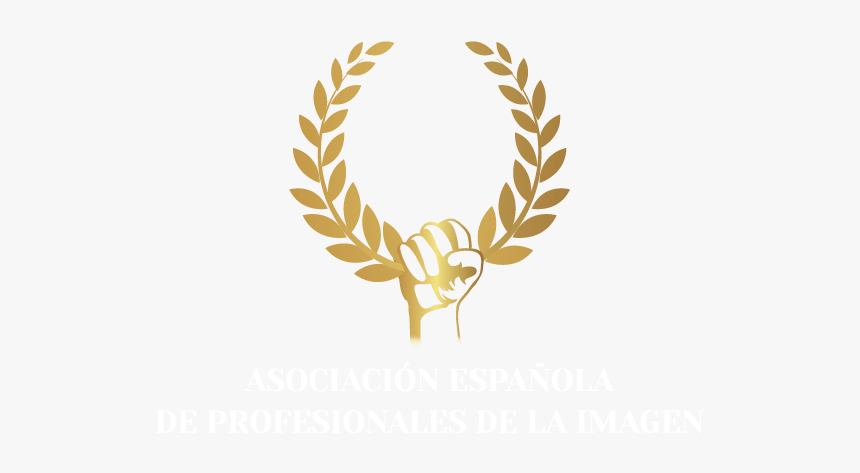 Transparent Premium Quality Png Png Download Transparent Png Image Pngitem