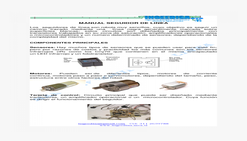 Insect, HD Png Download