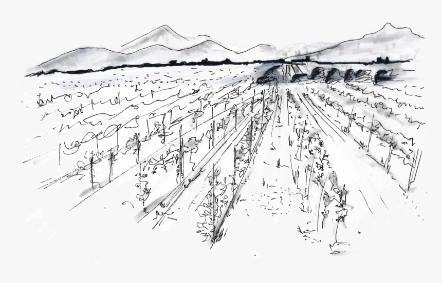 Monochrome, HD Png Download