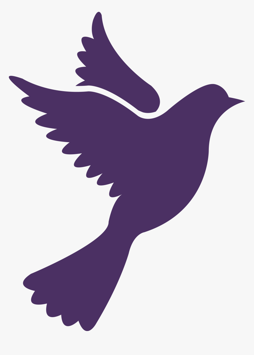 Thumb Image - Pigeon Icon Png, Transparent Png