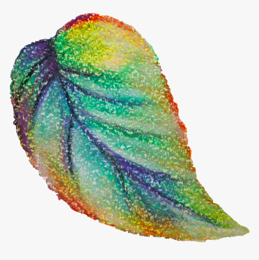 Hojas Vector Material - Illustration, HD Png Download