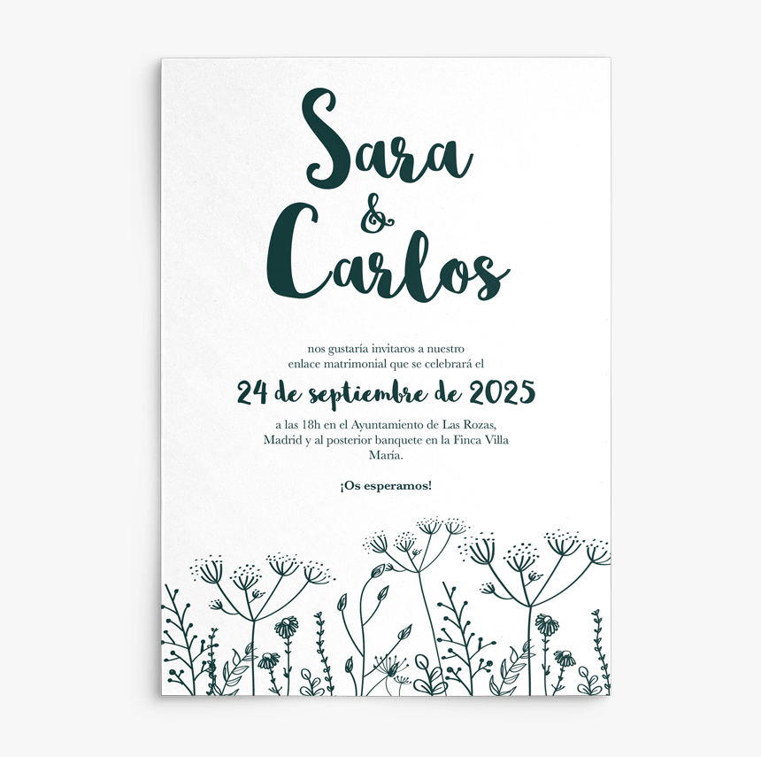 Calligraphy, HD Png Download