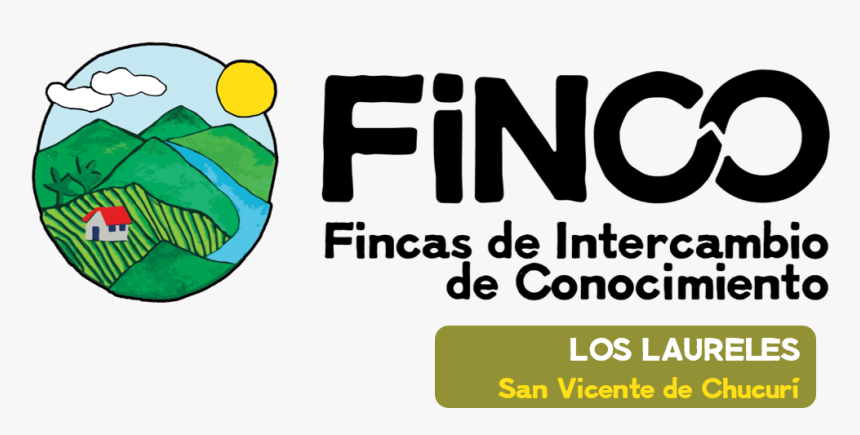 Finco - Graphic Design, HD Png Download
