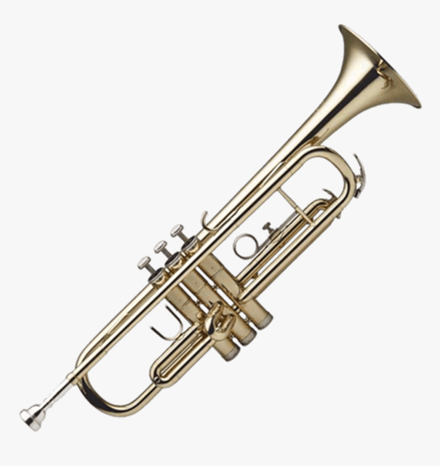 Trumpet Transparent Background, HD Png Download , Transparent Png Image