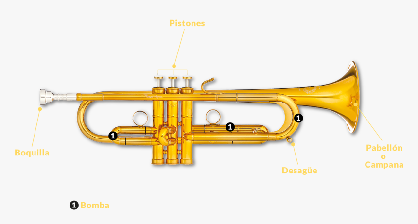 Trumpet, HD Png Download