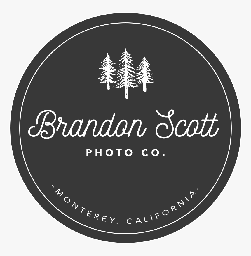 Brandon Scott Photo Co - Broome Community College Hornets, HD Png Download