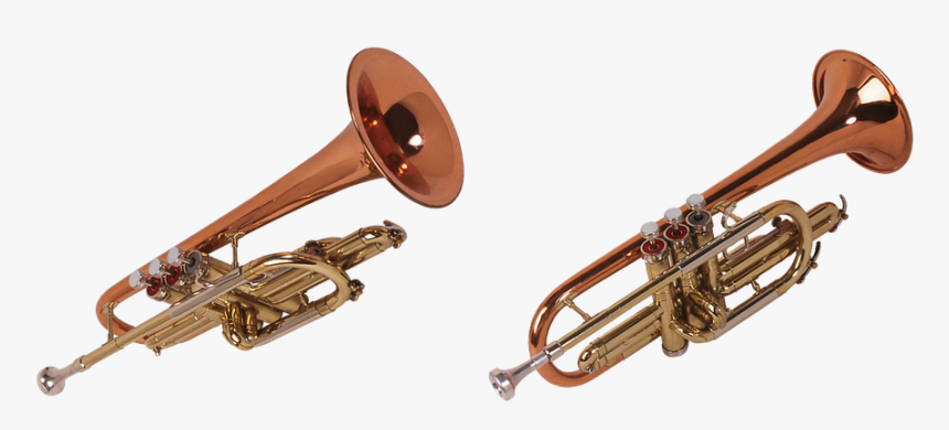 Trompeta, Cuerno De, Horno Herramienta - Instrumento Musical Png Trombone, Transparent Png