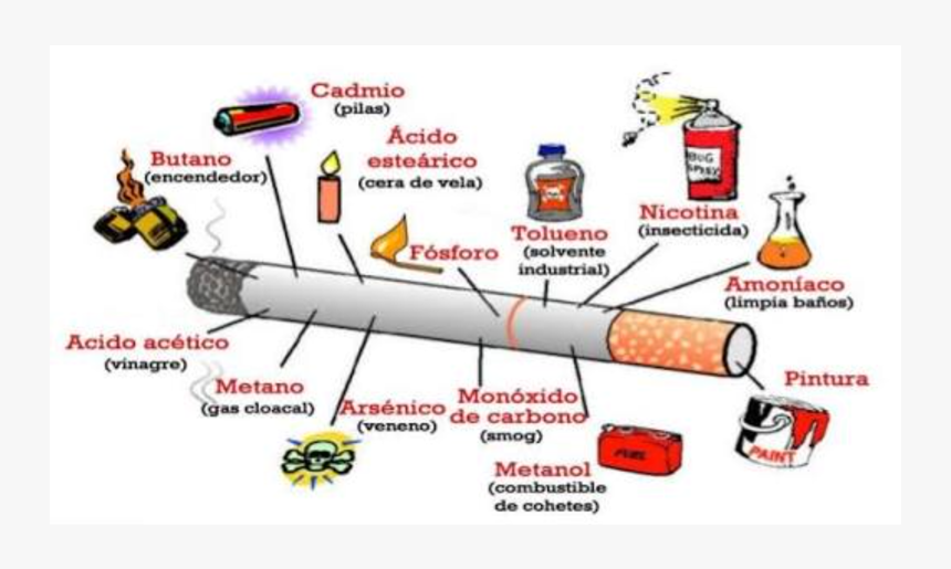 You Should Smoke Cigarettes, HD Png Download