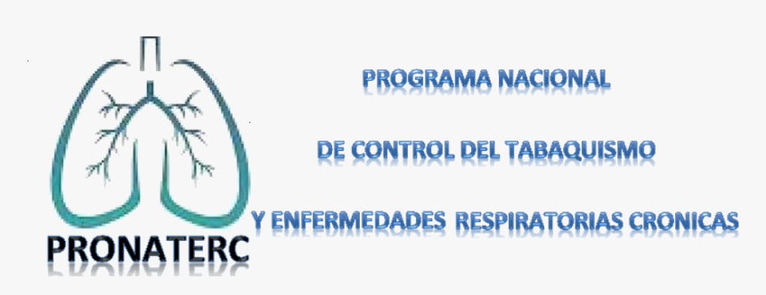 Art Classes, HD Png Download