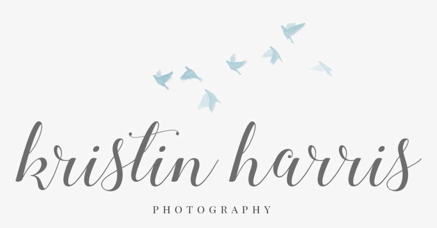 Calligraphy, HD Png Download