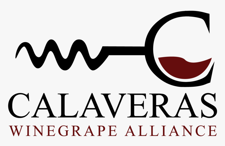 Wine 
 Class Img Responsive Owl First Image Owl Lazy - Bacardi Martini, HD Png Download