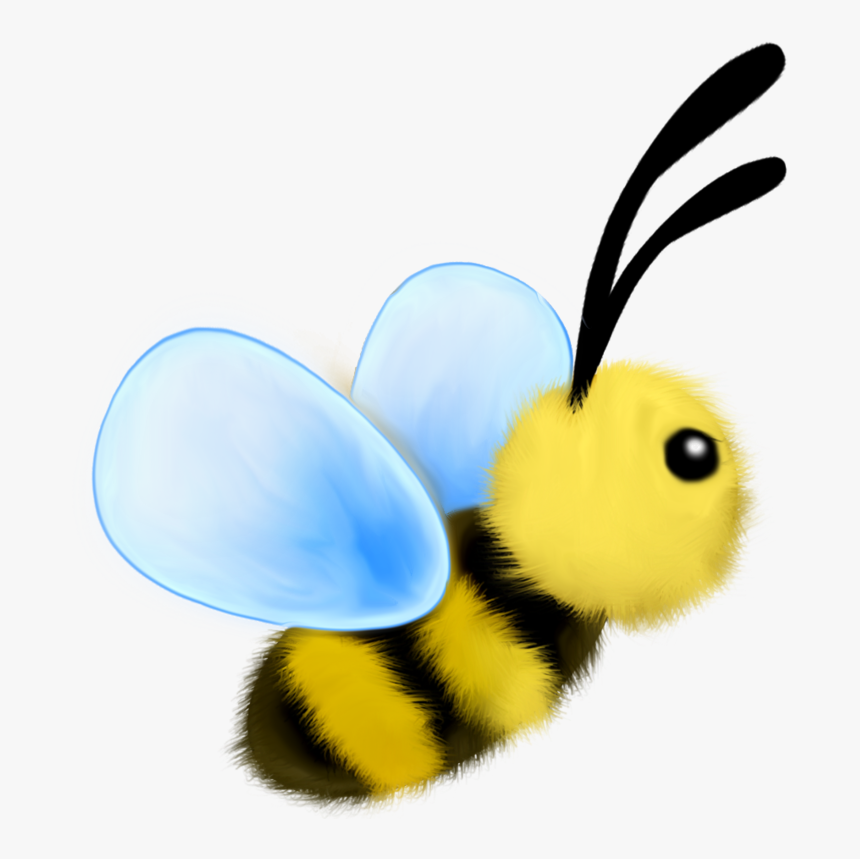 Honeybee, HD Png Download