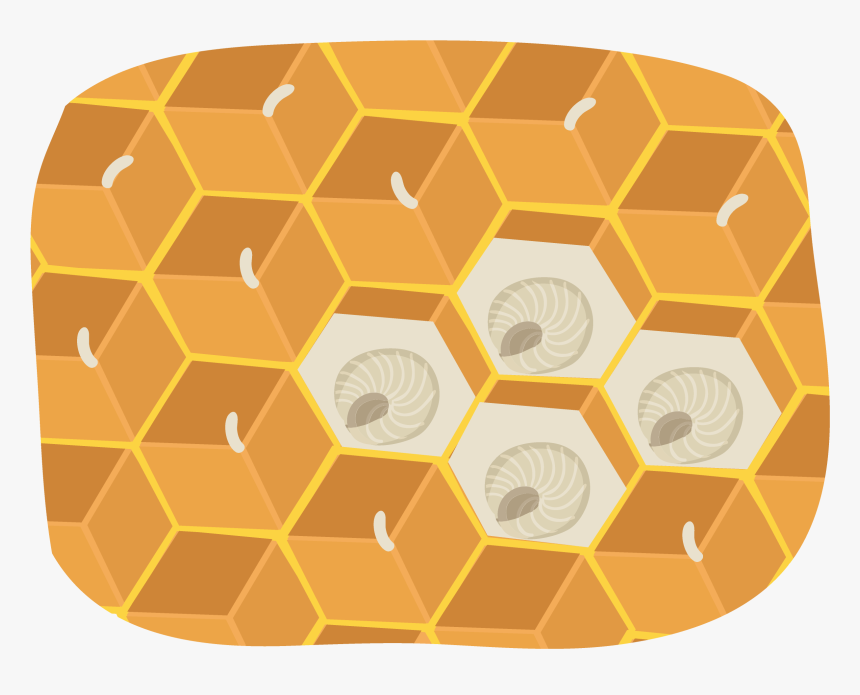 Circle, HD Png Download