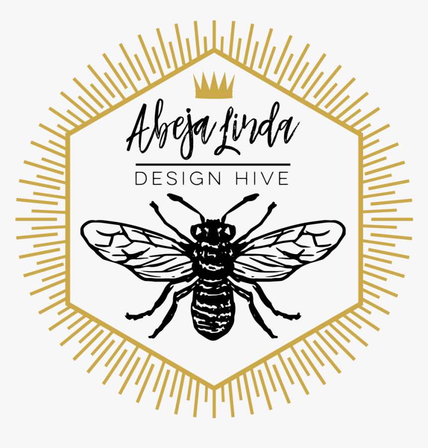 Abeja Linda Design Hive Logo - Pasquini Coffee, HD Png Download