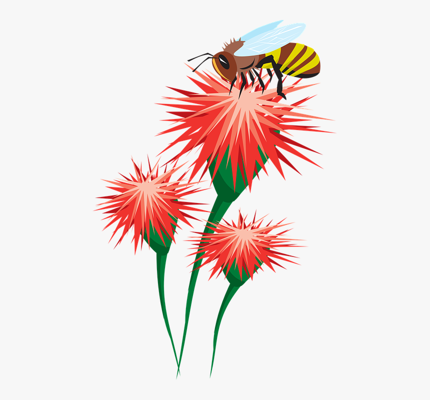 Abeja, Flores, Polinización, Polen, Recopilación - Bee On Flower Clipart, HD Png Download