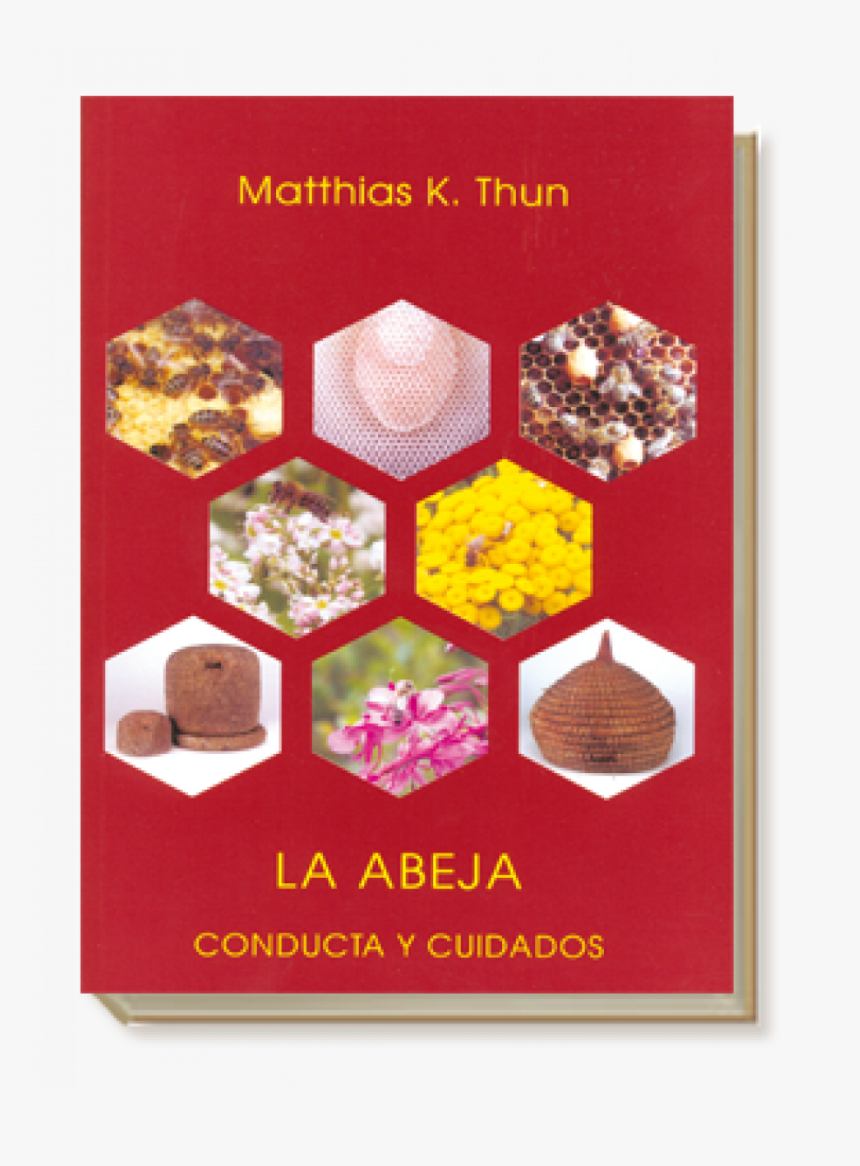 Cuidados De Una Abeja, HD Png Download