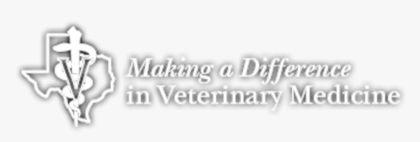 Image Placeholder Title - Calligraphy, HD Png Download