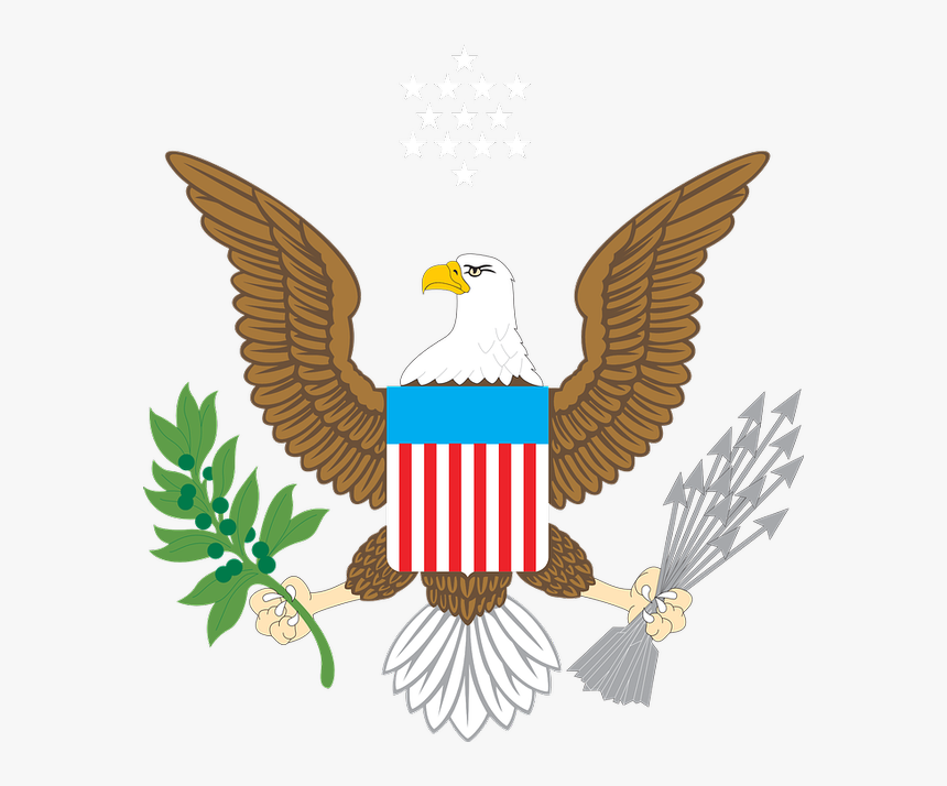 Us Bald Eagle Clipart, HD Png Download