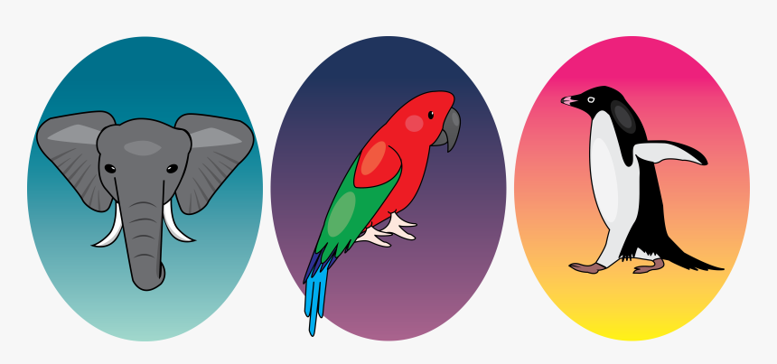 Transparent Honchkrow Png - Parakeet, Png Download