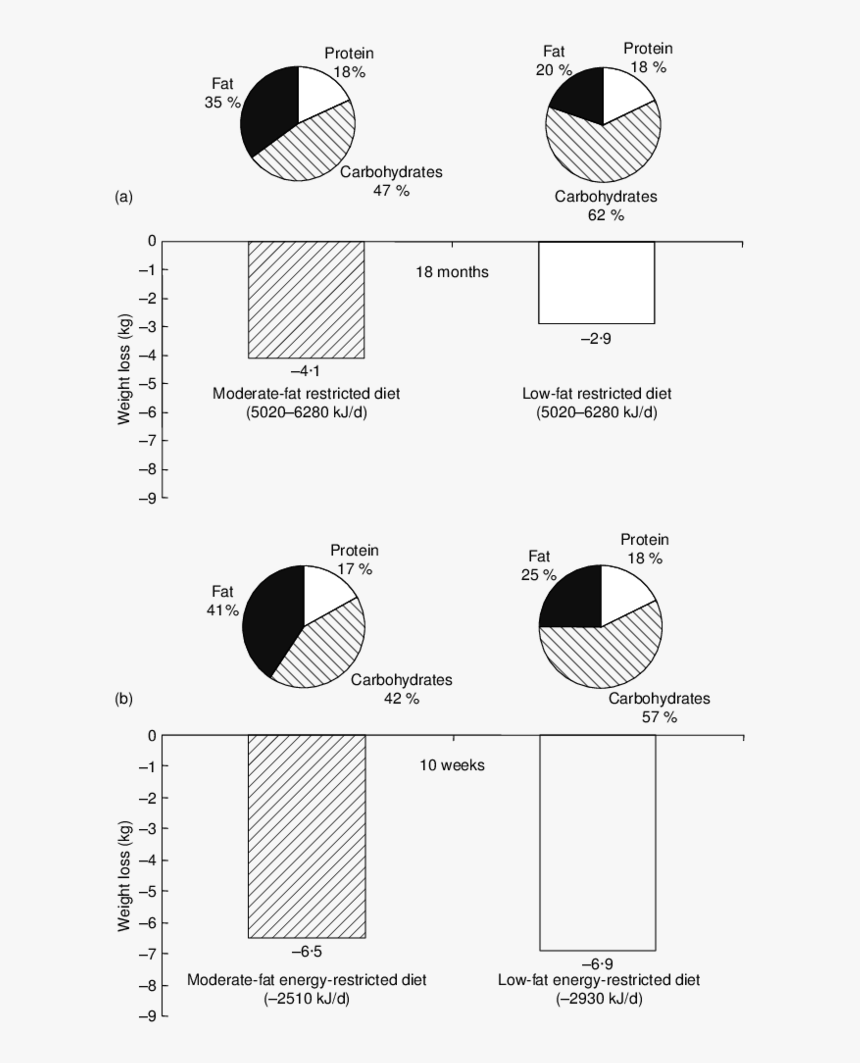 Diagram, HD Png Download