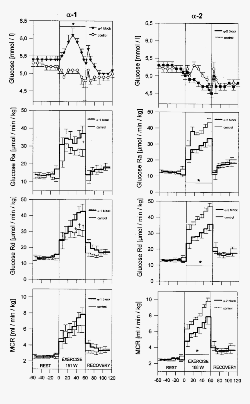 Diagram, HD Png Download