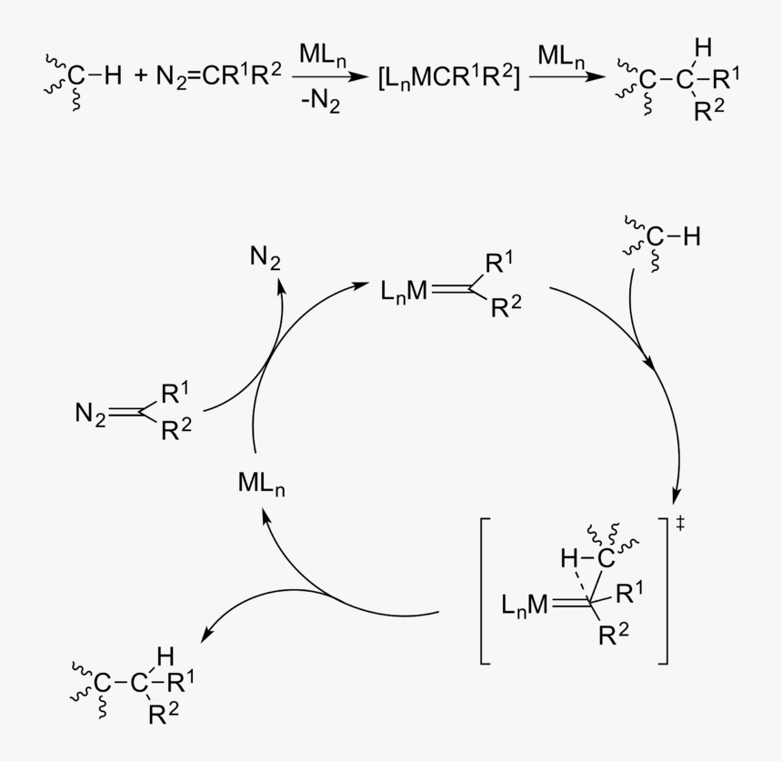 Carbene Oh Insertion, HD Png Download
