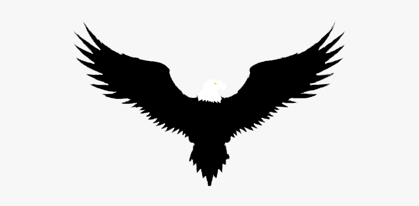 Golden Eagle, HD Png Download