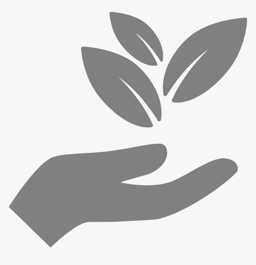Hand Holding Leaf Icon, HD Png Download