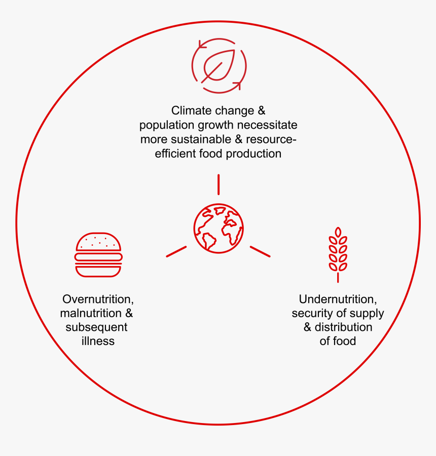 Food Nation Icon Sustainability - Circle, HD Png Download