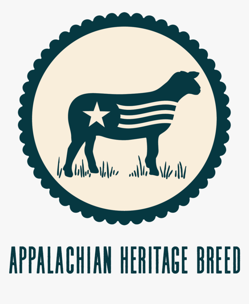 Freedom Run Farm Appalachian Heritage Breed - Circus, HD Png Download