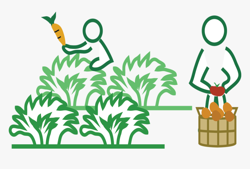 Fruits Like Apple, Oranges, Avocado, Grapes, And Vegetables - Farmer Agriculture Clipart, HD Png Download