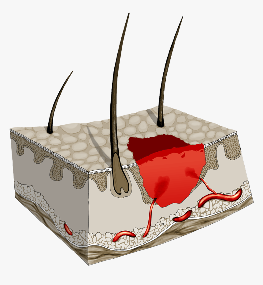 Tiara, HD Png Download