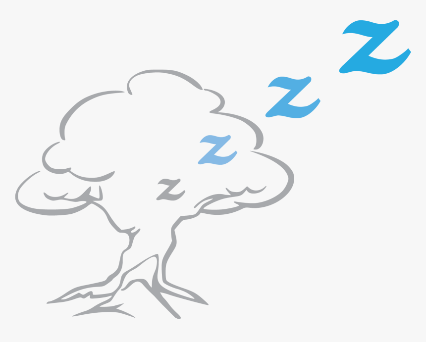 Tree Black & White, HD Png Download