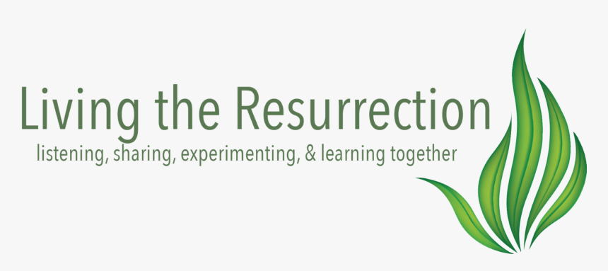 Aloe, HD Png Download