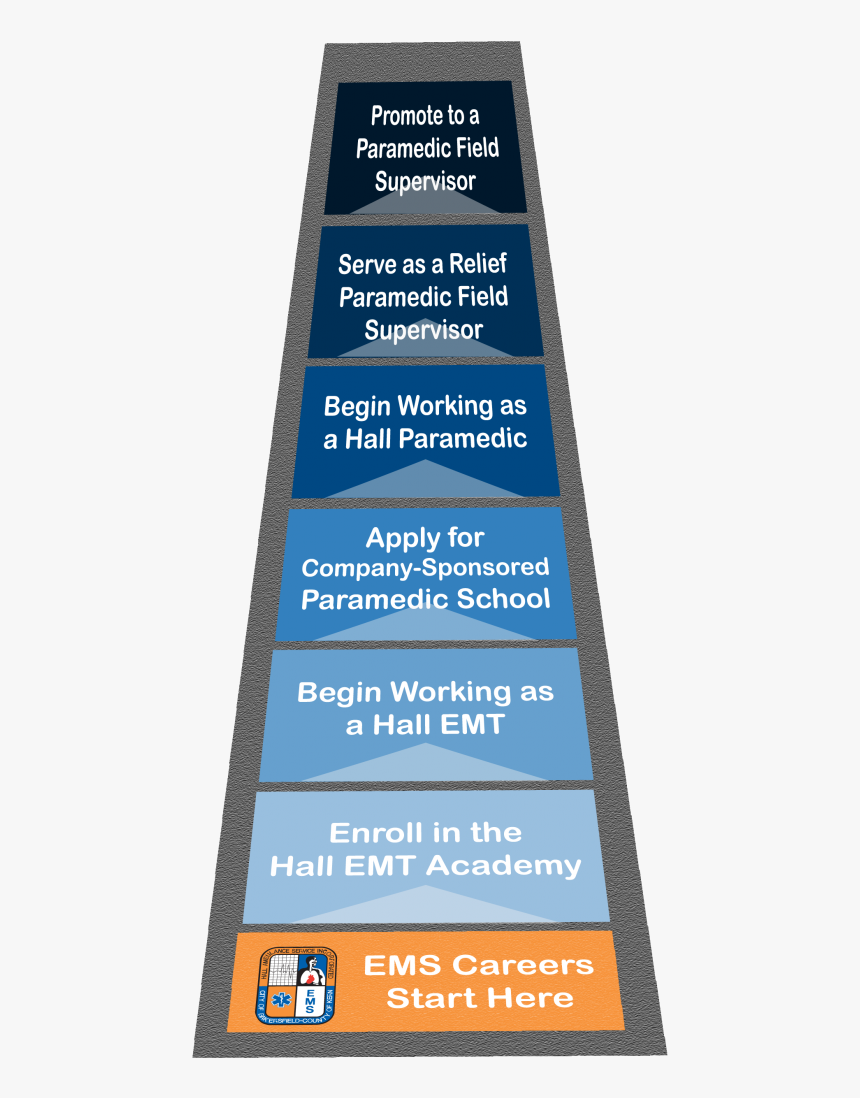 Fasttrack Ladder Career Ladder For Veterinarians, HD Png Download