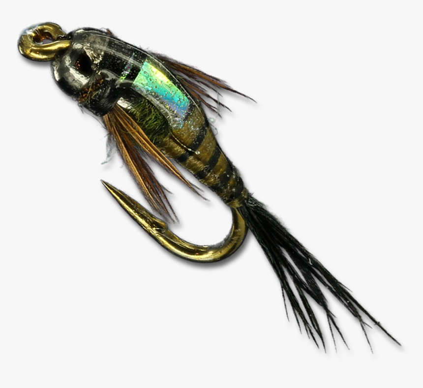 Two Bit Hooker - Insect, HD Png Download