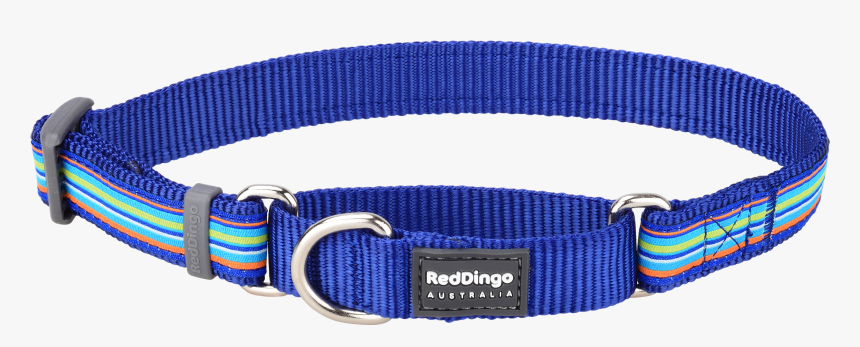 Horizontal Stripes Png - Fang It Red Dingo Martingale, Transparent Png