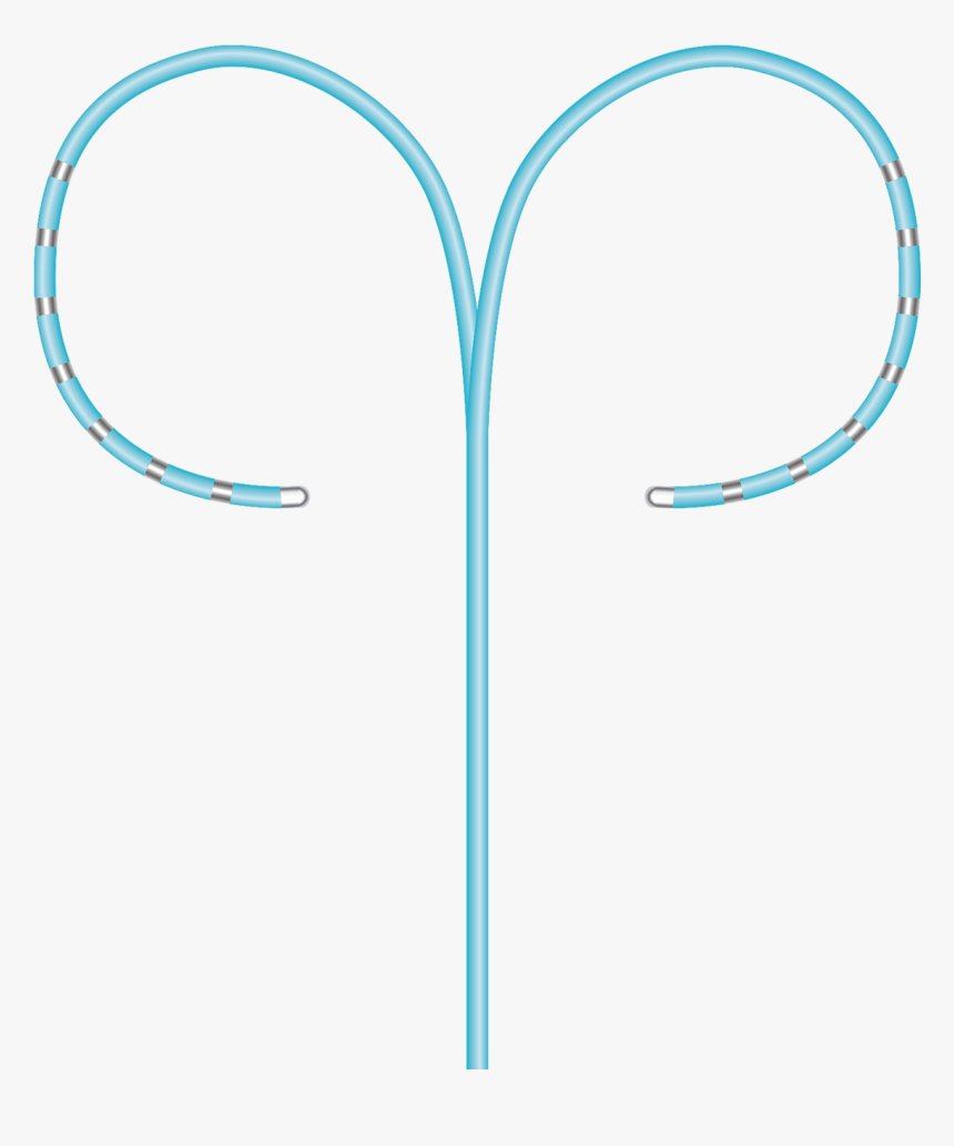 Mcnabb Family Crest, HD Png Download