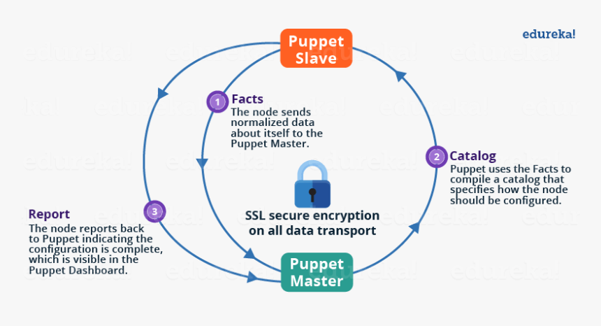 Puppet Master Slave Architecture, HD Png Download