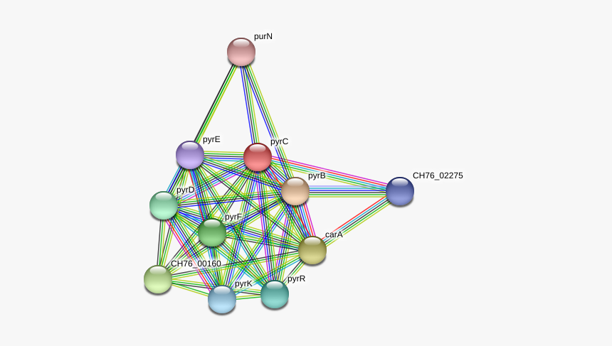 Pyrc Protein - Circle, HD Png Download