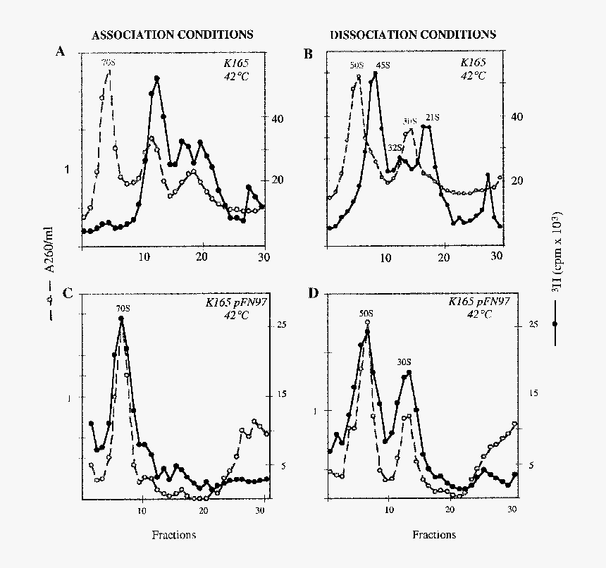 Diagram, HD Png Download
