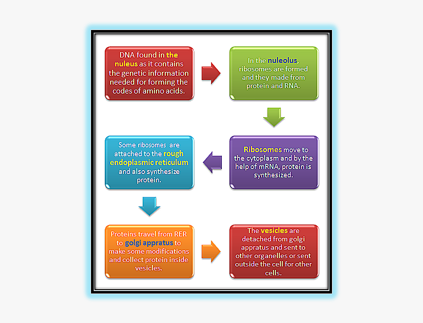 6 Mandatory Procedures Of Iso 9001, HD Png Download