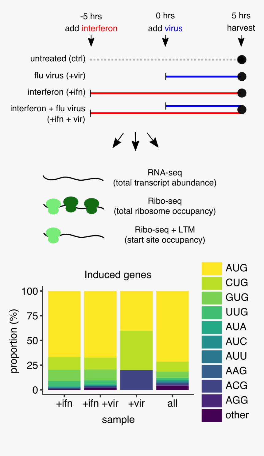 Diagram, HD Png Download