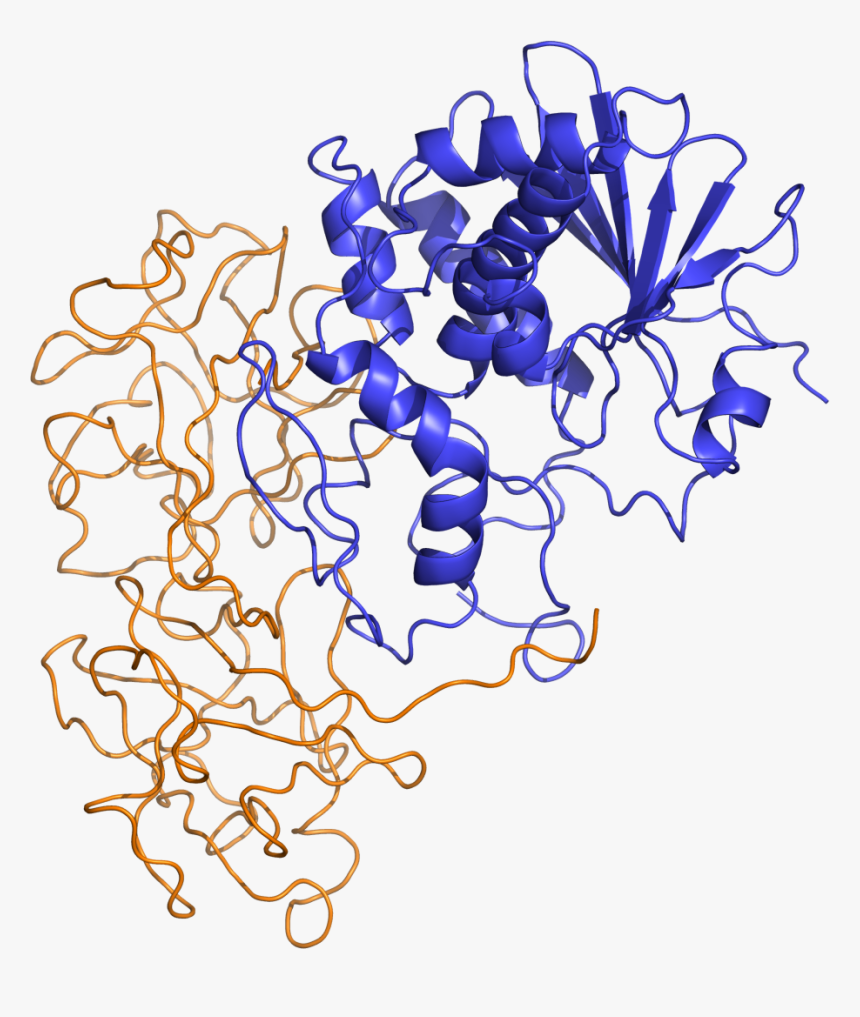 Ricin Structure, HD Png Download