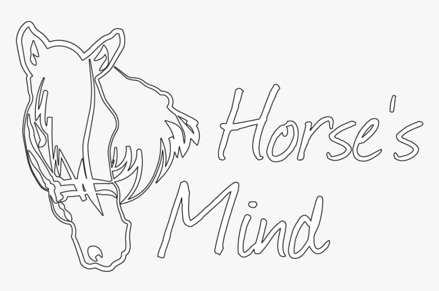 Sketch, HD Png Download