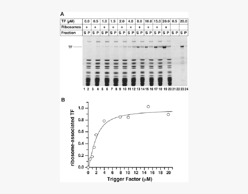 Diagram, HD Png Download