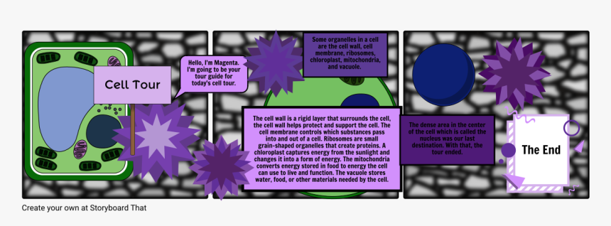 Flower, HD Png Download